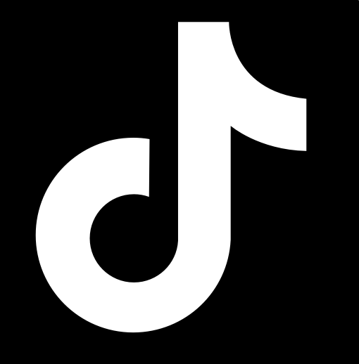 TikTok Logo